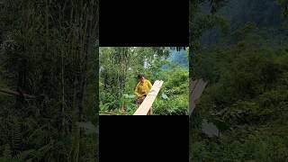 15 year old girl makes a bed out of bamboo #hoangthihue #15yearoldgirl #bamboobed #poorgirl #life