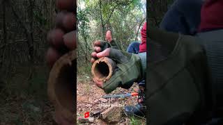 Making an amazing beeswax candle #bushcraft #survival #outdoor #camping