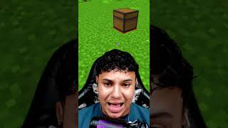 Minecraft, MAS a cada LIKE eu FAÇO UMA TROLLAGEM