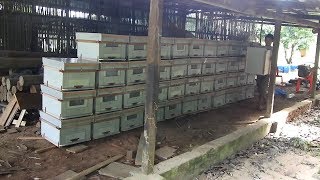 Khmer beekeeping building beehive at beekeeper's workshop