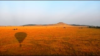 Serengeti Balloon Safari Highlights