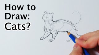 How to Draw Cats? Full body Tutorial