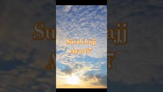 quran urdu translation surah hajj #trending #religion ayat 37 surah hajj shorts#