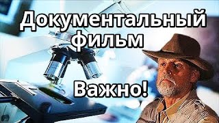 ФИЛЬМ Документальный Библейский фильм о Иерусалиме Храмовая Гора Бог Археология Библия Ковчег Завета