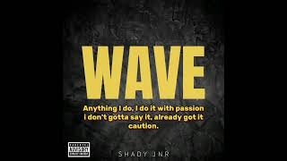 I'mma either make it , there's no other option//Shady Jnr - Wave