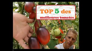 top 5 tomates des meilleures tomates#2022