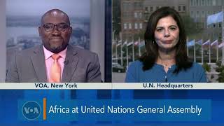 Africa at the United Nations General Assembly