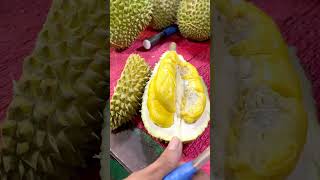 “Musang King Durians” #MaoShanWang #猫山王榴莲 @ #JalanAlor Kuala Lumpur, Malaysia (23 August 2024) #RM79