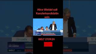 Alice Weidel wird Kanzlerkandidat? #deutschland #politik #nachrichten