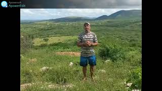 COMO SOBREVIVER NA CAATINGA, DE MANEIRA FÁCIL  "FATOS SOBRE A CAATINGA"