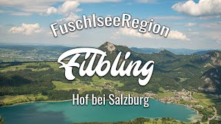 Von Hof bei Salzburg auf den Filbling | Wandern in der FuschlseeRegion