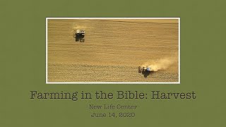 Harvest - June 14, 2020