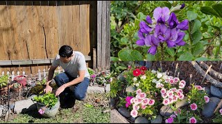 Trabajitos en el jardín, propagación de geranio, regalos y floraciones