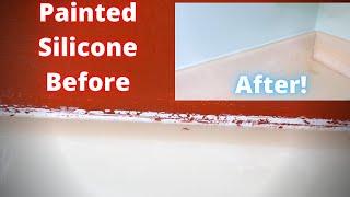 Quick and Easy Fix for Painted Silicone!!!!