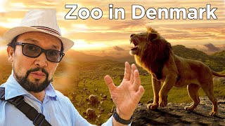 Best Zoo in Denmark Copenhagen| سفر به باغ وحش کوپینهاگین دانمارک شمالی اروپا