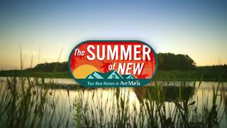 Summer of New 1