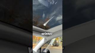 Tesla Model Y Automatic Sunshade by Hansshow | Video Curtesy of @TeslaFlex #tesla #sunshade #short