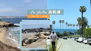 La Jolla Cove Beach San Diego | 美国圣地亚哥海豹滩 | 小紫藤Vlog