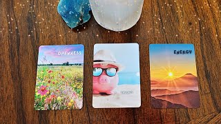 Pick a Card 🌾🕶️☀️ What to expect☀️🕶️🌾