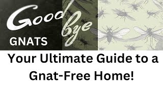 Bye-Bye Gnats: Your Ultimate Guide to a Gnat-Free Home!