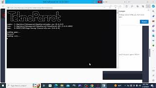 Setting Up Teknoparrot