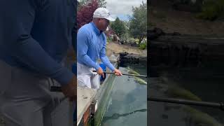 Legendary Mariano Rivera Handpicking Koi at Our Store!