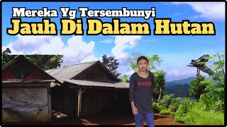 Kehidupan TERSEMBUNYI di Tengah Hutan Jember Jawa Timur