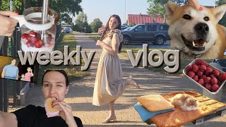 WEEKLY VLOG: przygotowania do imprezy 🎉 / sukienka na ostatnią chwilę / slow life ze zwierzakami 🐈🐕