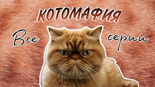 КОТОМАФИЯ - все серии😹 Угарный сериал про банду разговаривающих котов😼 #котики #озвучка #shorts