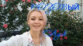 Vlog-161 И немного о погоде в Дни начала цветения РОЗ