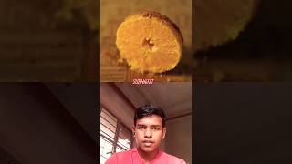 Fried Orange#shorts #satisfying #food #viralreels #trending #trendingshorts #1million