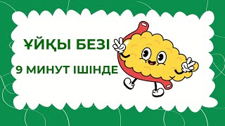 ҰЙҚЫ БЕЗІ ҚҰРЫЛЫСЫ ЖӘНЕ ҚЫЗМЕТІ || ҚАНТ ДИАБЕТІ ТҮРЛЕРІ