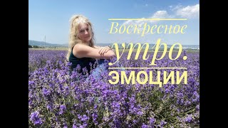 Воскресное утро. Эмоции.