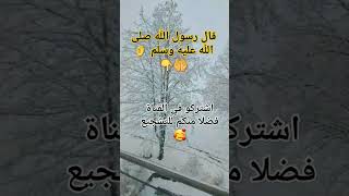 #ترند #احاديث #صلوا_على_النبي #اكسبلور #قال_رسول_الله_صلى_الله_عليه_وسلم #explore #اشتراك #صلاة