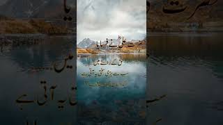 Amazing Farman For Hazrat Ali........Beautiful WhatsApp Status 23 #islamicquotes #share #new