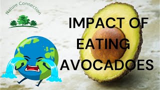 Environmental Impact of eating Avocado | Superfood or Environment Killer | Nature Connection