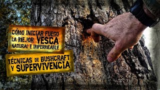 Iniciar🔥FUEGO con TEA o FATWOOD | La Mejor YESCA Natural Impermeable | Supervivencia, Bushcraft