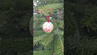 OH TANNENBAUM - Frohe Weihnachten