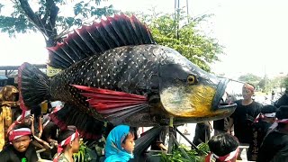 IKAN NILA BABON di karnaval  sedekah bumi selamatan desa nogosari pandaan 7 september 2024