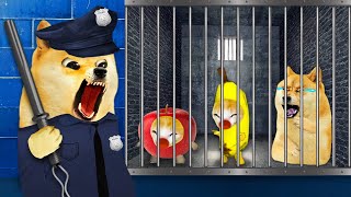 Bank Heist Gone Wrong: Banana Cat's Unexpected Prison Escape Plans! 🐱 Baby Banana Cat Compilation 😿