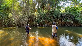 PESCARIA no Rio utilizando Bambu - Peixe Enorme mordeu a isca