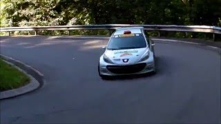 31° Rally Prealpi Orobiche 2014 IRCup