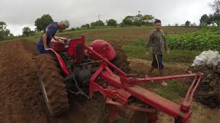 TRATOR MASSEY FERGUSON 50X#lavrando ao VIVO#CAMPO DURO#AGRO@csrcriacoes1591