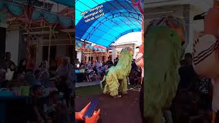 detik" barongsai docel'cs oleng ke belakang jatoh tabrak sound🙈🙈