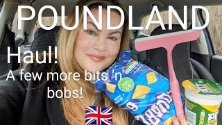 POUNDLAND Haul! Mini, chatty one! #uk #haul #poundland