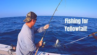 Reef fishing for yellowtail in the Florida Keys!