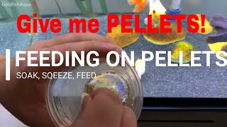 Goldfish Tank PELLETS