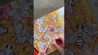 Coloring honeycombs 🐝 | Timelapse #adultcoloringchannel #ritaberman #coloringbook #shorts