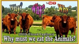 WHY MUST WE EAT THE ANIMALS?