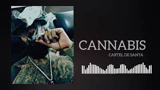 CANNABIS - CARTEL DE SANTA (Audio)